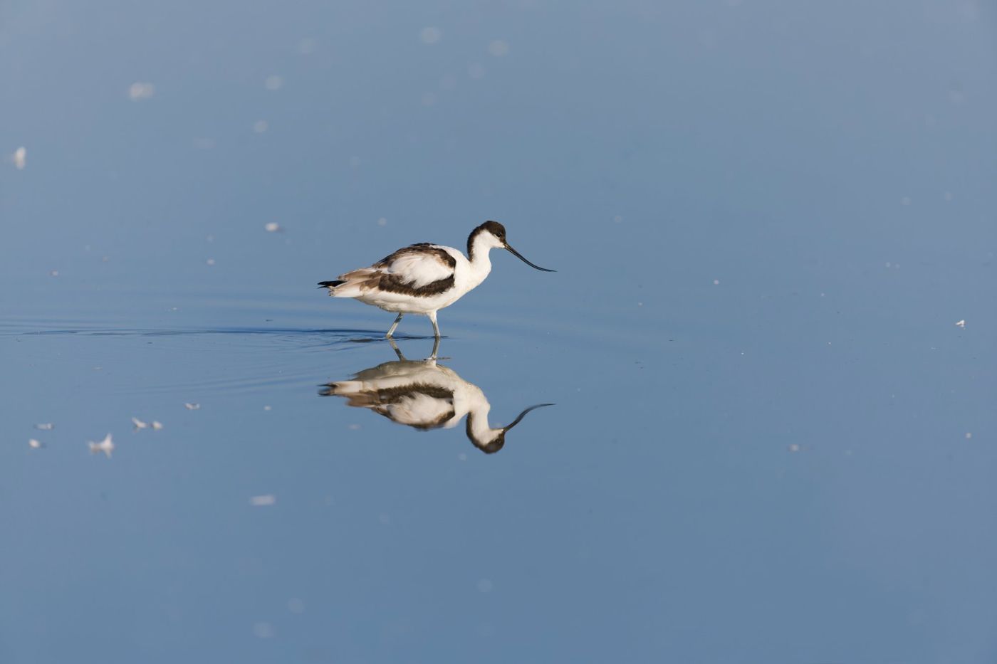RSPB Minsmere